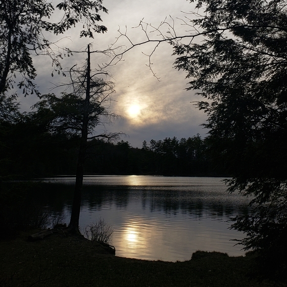 🌟SEE NEW LISTING!🌟🤍Apt 9 100% Cashmere Sweater •Soft Grey Boxy Raglan Sleeve - Picture 6 of 6